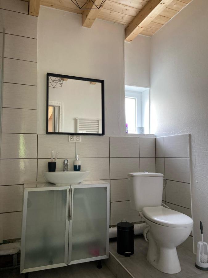Le Chene: Petit Chalet Cosy Proche De Mulhouse Riedisheim Экстерьер фото